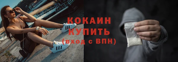 шишки Протвино