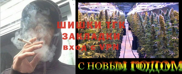 индика Алексеевка