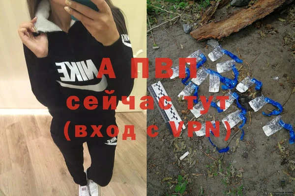 индика Алексеевка