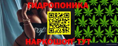 гидропоника Кумертау