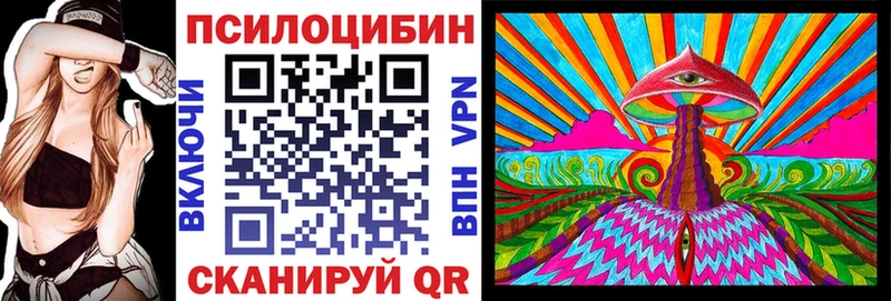 Галлюциногенные грибы Psilocybe  где купить наркоту  Курчалой 