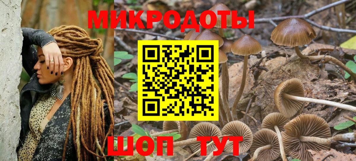 Курчалой  дарнет шоп  Вход с VPN  Псилоцибиновые грибы прущие грибы  Псилоцибиновые грибы Psilocybine cubensis 