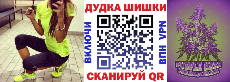 omg tor Курчалой Канабис Amnesia